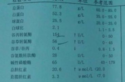 谷草转氨酶高的原因,揭秘原因与应对策略”