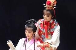越剧红楼梦,经典演绎，情感交织的艺术之旅