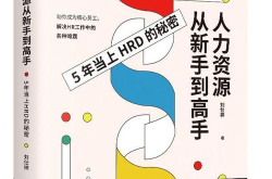 新手怎么学人力资源,新手快速掌握必备技能