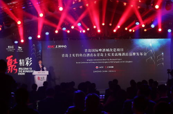 高梅娱乐,引领娱乐潮流的璀璨明珠