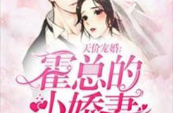 天价宠婚霍总裁小说免费,霍总裁的甜蜜纠葛