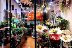 广州鲜花店,浪漫之花，传递心意的选择”