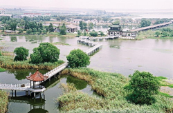 盐城旅游