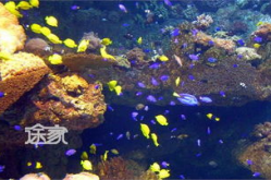 青岛极地海洋世界,探秘海洋生物的奇幻之旅