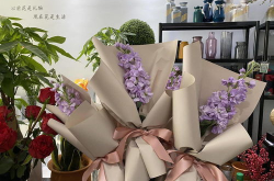 三八妇女节送什么花,花语与选择全解析